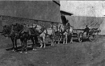 Conestoga Wagon - An old photo of a farmer with his Conestoga wagon and team